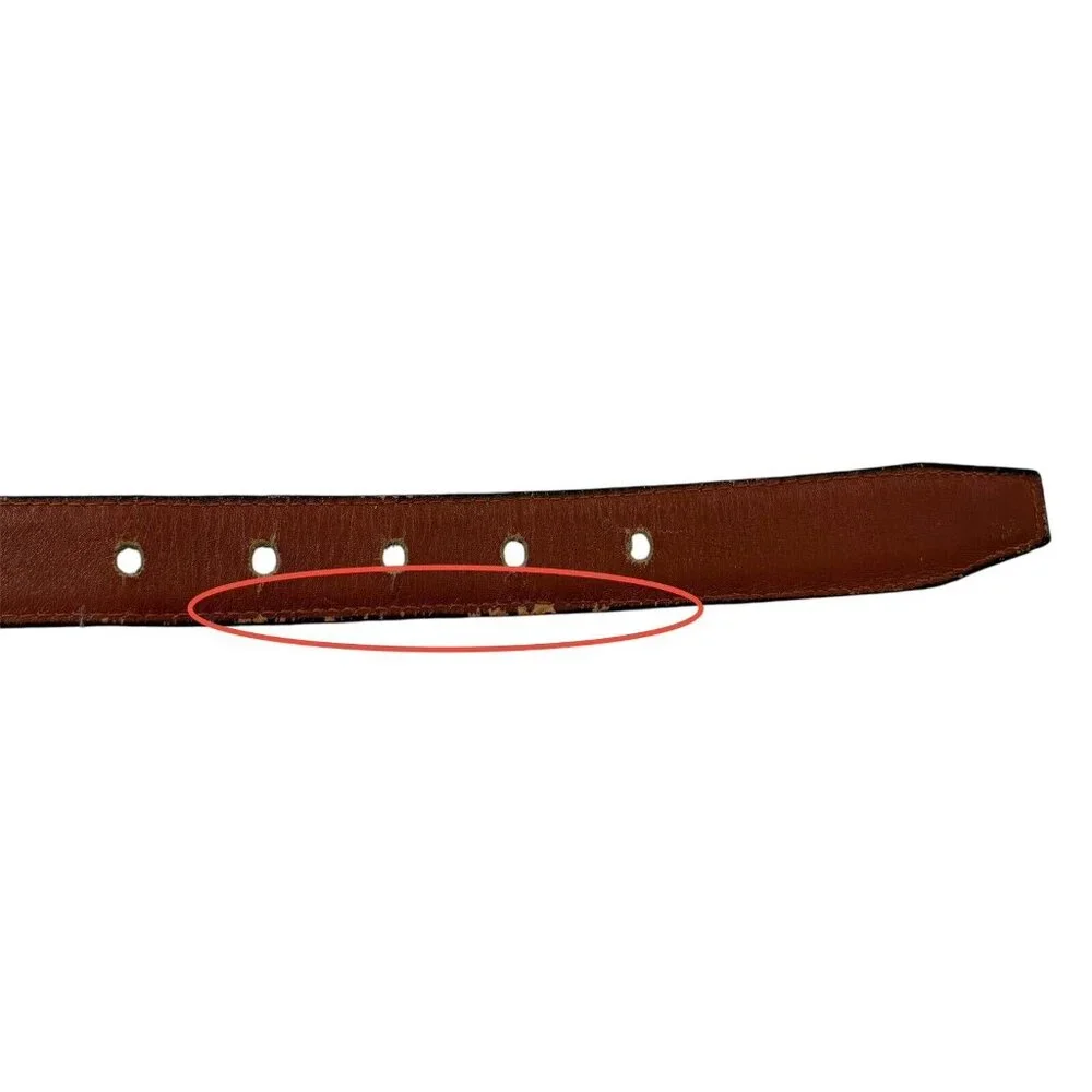 Ilana Goor Heart Buckle Belt (Size L) 1” Brown Lizard & Cowhide w/ Silver Tone